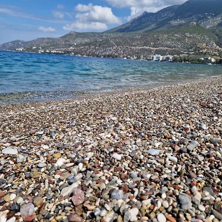 Apartman Vilena